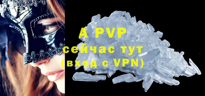 где купить   Зеленоградск  Alfa_PVP СК 