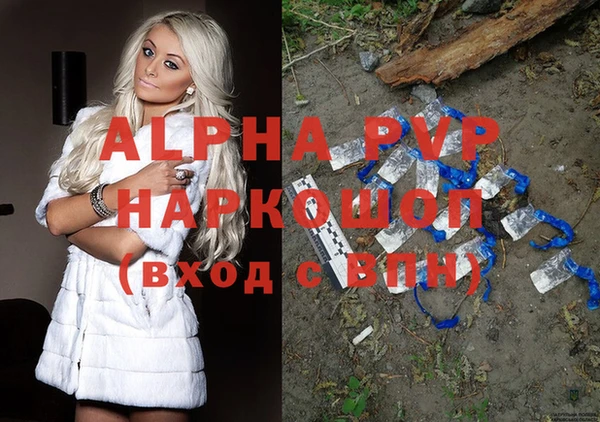 a pvp Белокуриха